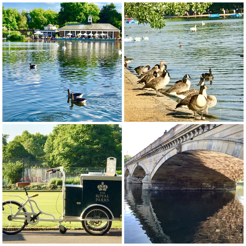 Streets Ahead: The Best Places To Invest Around Hyde Park